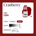 Barva pro permanentní make up Perma Blend LUXE Cranberry 15 ml REACH